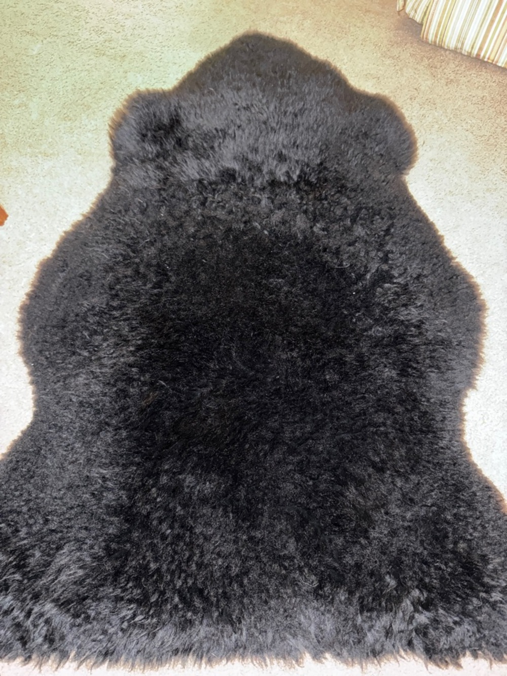 Fibre Sheepskin Accent Rug -Australia